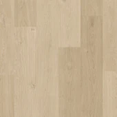 AVSPT40322  Дуб береговой песчаный