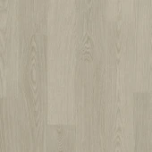 AVSPT40280  Дуб чиа