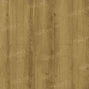 LF301-17 Дуб Фанэн