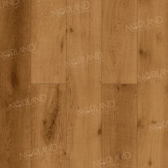 LF301-13 Дуб Помона