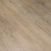 V116 Дуб Бейонн