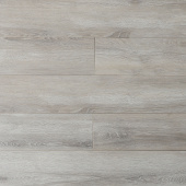 16143 Дуб Президент