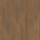 Дуб медовый шервуд