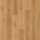 OSPC20264 Дуб Пустынный