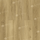 ЕСО 21-10 Фраменто