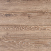 Дуб Мекс 38202 