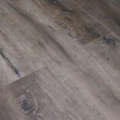 V117 Дуб Венсен