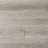 16142 Дуб Колорадо