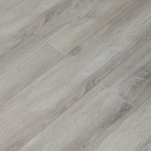  16143 Дуб Президент