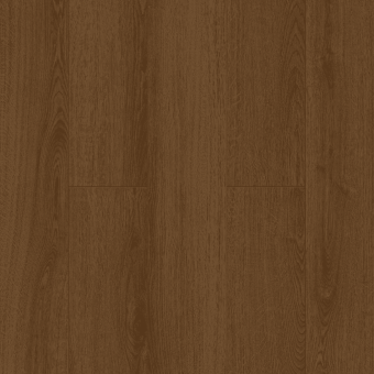 LF305-20 Дуб Этна 