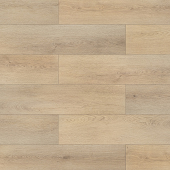 3305 Дуб меренга