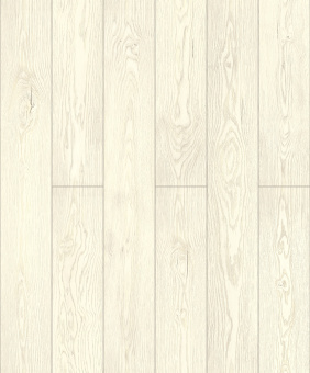 D40097 Дуб Сентимент