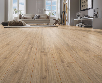 3073 Дуб Фалсбург