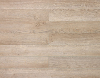 Дуб Стоктон