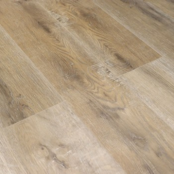 V121 Дуб Мулен