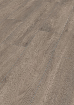 6013 Дуб Эльба серебряный