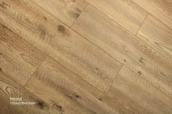 PR205 Дуб Хасвик