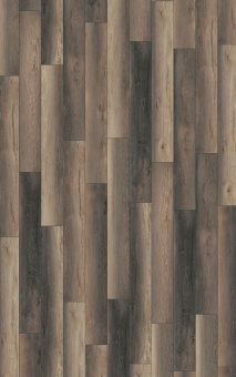 D80992 Дуб Гнарренбург Титан