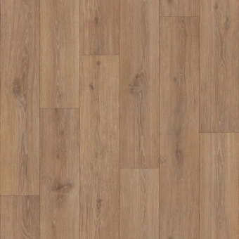 AERO ECLIPSE 1; ECLIPSE 2; ECLIPSE 3