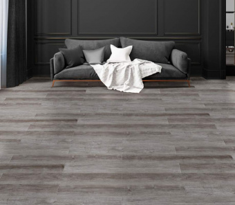 Дуб Камелот 1581