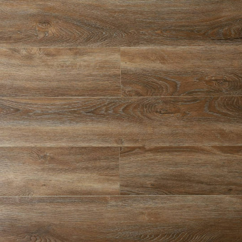 16188 Дуб Савойя