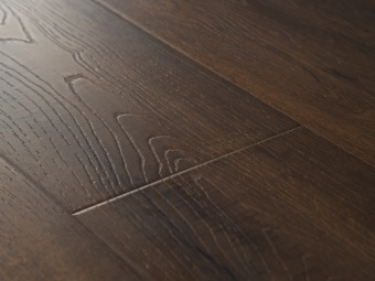 2410 Дуб Коньячный