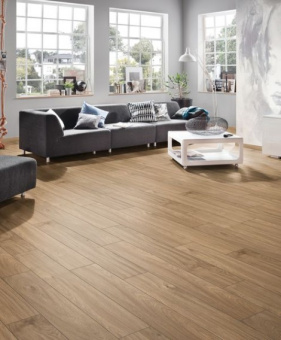 K338 Дуб Креденца