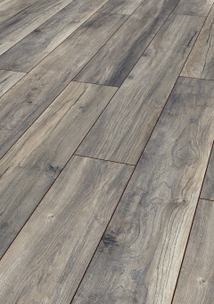 3572 Дуб портовый серый