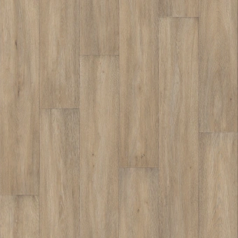 HOMETOWN DOLIS 1; DOLIS 2; DOLIS 3