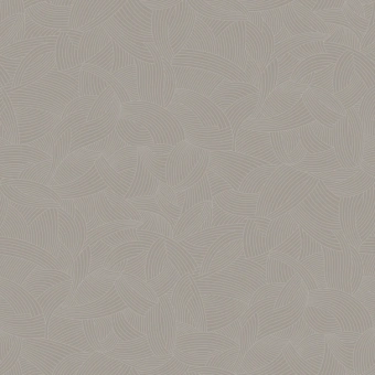 BONUS AMOS 1; AMOS 2