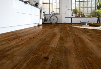 4783 Дуб Гала натуральный