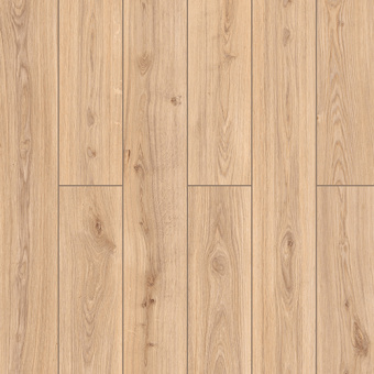 59847 Дуб Индор