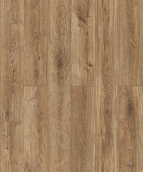 D50547 AF Дуб Ронта