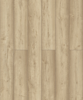 D50917 Дуб Риден