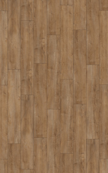 4983 ДУБ ВОСТОЧНЫЙ НАТУРАЛЬНЫЙ