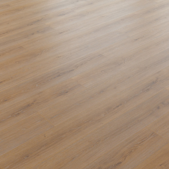 NC83 Дуб Эсквайр