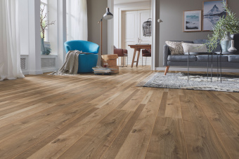 3665 Дуб Роузмонт