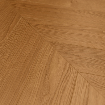 Дуб Марипоса