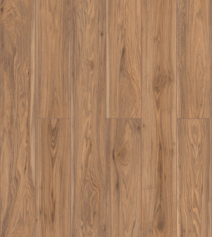 50827 Дуб Маноло