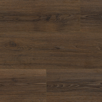 NC85 Дуб Мейджер