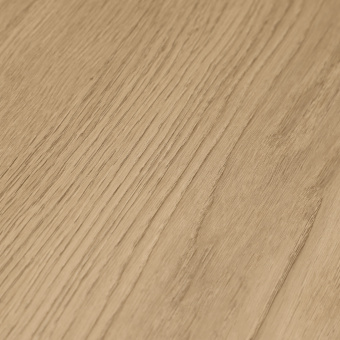 Дуб Элефант