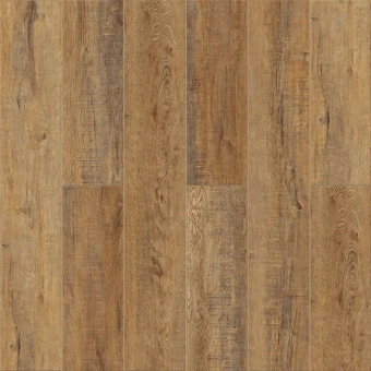 Дуб Робуста 