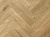 LF303-09 Дуб Хайнан