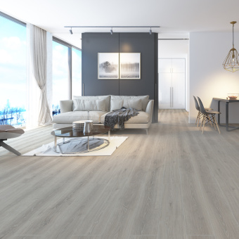 NC81 Дуб Вальфорд