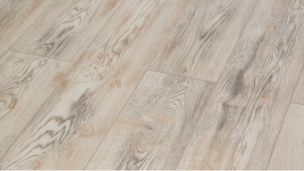  LM-03 Дуб Чезаре /Cesare Oak 