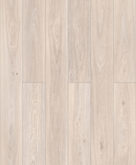 50857 Дуб Шеппард