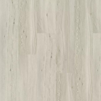  OSPC20260 Дуб Облачный