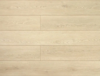 Дуб Амберный