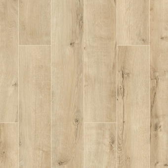 ID68 Дуб Нельсон