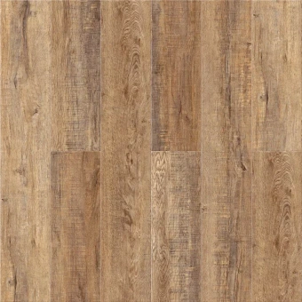 Дуб Париж А 105